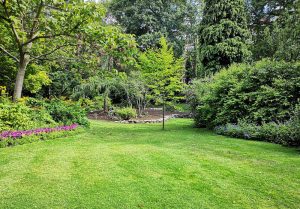 Optimiser l'expérience du jardin à Saint-Evroult-Notre-Dame-du-Bois